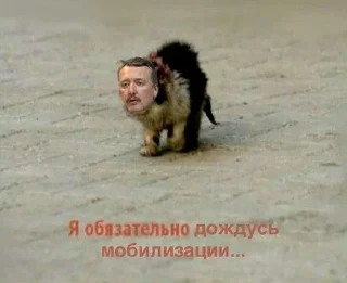 😖 emoji Мобилизация Telegram sticker 7 of 20