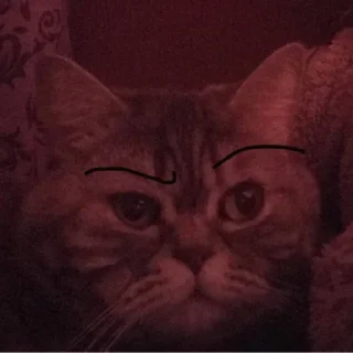 🤨 emoji тарас Telegram sticker 8 of 11