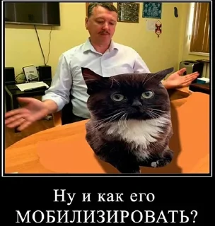 ❔ emoji Мобилизация Telegram sticker 15 of 20
