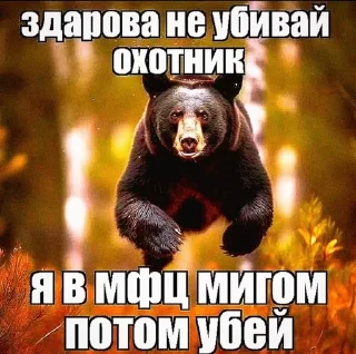 🌟 emoji милосла хуесо😅😅 Telegram sticker 8 of 52