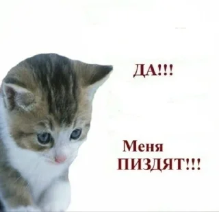 🌟 emoji Котятки булят Telegram sticker 10 of 28