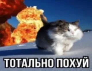 Sticker from Котятки булят