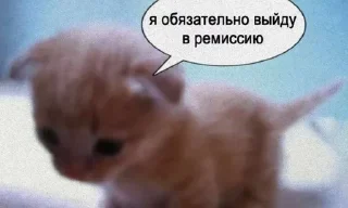 🌟 emoji Котятки булят Telegram sticker 14 of 28