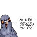 😴 emoji Голубь Геннадий Telegram sticker 19 of 30