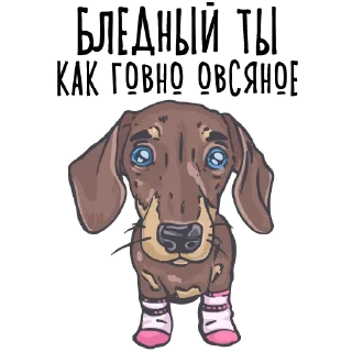 🤐 emoji Тупые арты (@cute_enot_art) Telegram sticker 13 of 42