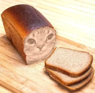🍞 emoji кетики 🐈🐈‍⬛🐈🐈‍⬛🐈🐈‍⬛🐈🐈‍⬛ Telegram sticker 9 of 31