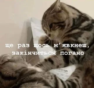 Sticker from фразочки