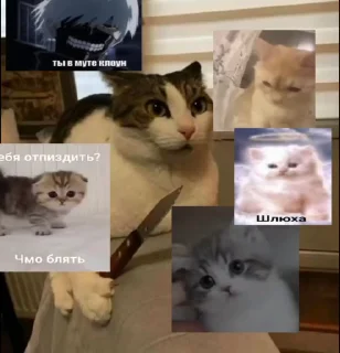 😡 emoji дрожжи Telegram sticker 6 of 48