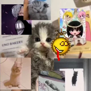 ⚰️ emoji дрожжи Telegram sticker 8 of 48