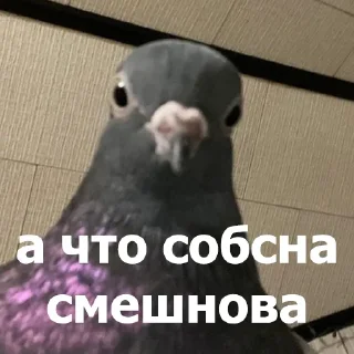 😐 emoji Маруська что-то мутит Telegram sticker 14 of 120