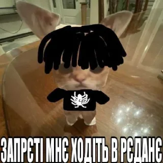 🕷 emoji КОТИСЬКО та компанія Telegram sticker 10 of 25