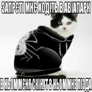 🎈 emoji КОТИСЬКО та компанія Telegram sticker 11 of 25