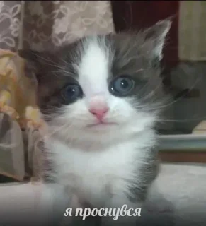 Sticker from метадоновый передоз