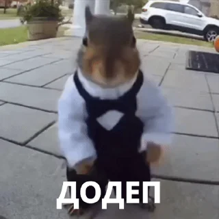 🐿 emoji Легенды ZOOMA Telegram sticker 11 of 13