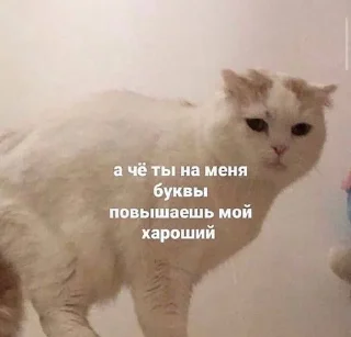 😠 emoji Алё, уважаемые? Telegram sticker 15 of 44