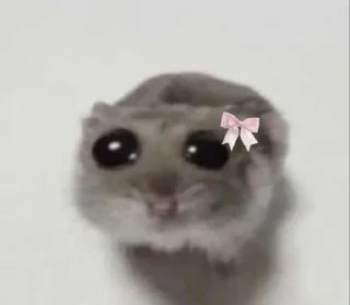 🌟 emoji брух Telegram sticker 16 of 45