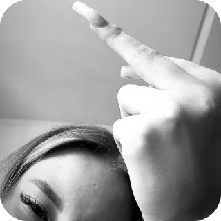 🖕 emoji qschsc Telegram sticker 14 of 43
