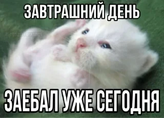 Sticker from Я НЕ СОБИРАЮСЬ..