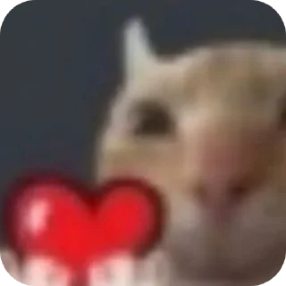 ❤ emoji Котики 🐾 Telegram sticker 6 of 13