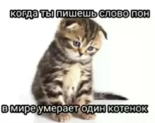 😉 emoji Херня Telegram sticker 7 of 52