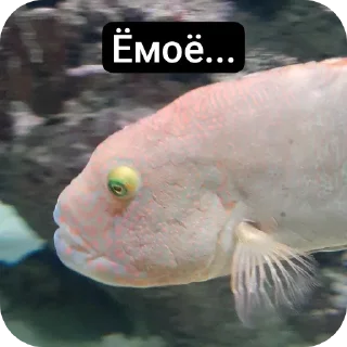 🫣 emoji Музеи москвы ВСЕ ФОТКИ СДЕЛАНЫ АВТОРОМ Telegram sticker 14 of 72