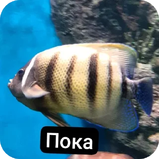 👋 emoji Музеи москвы ВСЕ ФОТКИ СДЕЛАНЫ АВТОРОМ Telegram sticker 5 of 72