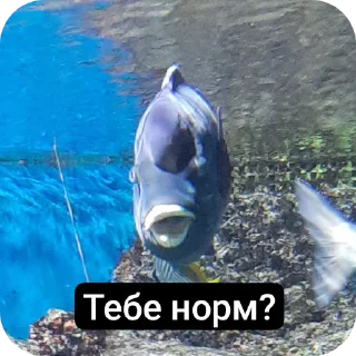 😟 emoji Музеи москвы ВСЕ ФОТКИ СДЕЛАНЫ АВТОРОМ Telegram sticker 11 of 72
