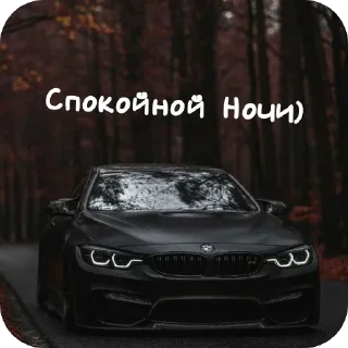 🚗 emoji Любовь Telegram sticker 21 of 56