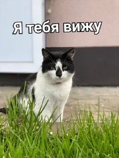 👀 emoji Малыш А ну-ка давай-ка Telegram sticker 13 of 21