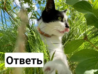 😐 emoji Малыш А ну-ка давай-ка Telegram sticker 21 of 21