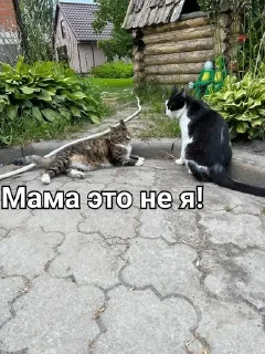 😑 emoji Малыш А ну-ка давай-ка Telegram sticker 17 of 21