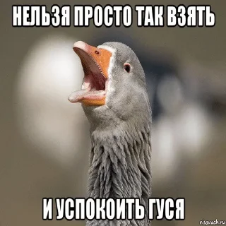 😖 emoji Гуси Telegram sticker 16 of 42