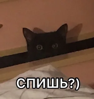 🙃 emoji Нико Telegram sticker 12 of 120