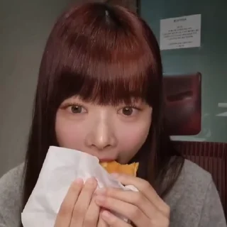 🍔 emoji eunchae @sw5uf Telegram sticker 16 of 40