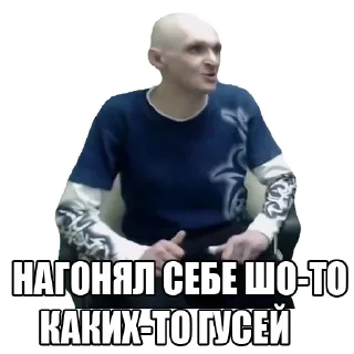 Sticker from Мопс