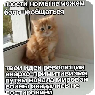 🐱 emoji conversation Telegram sticker 10 of 63