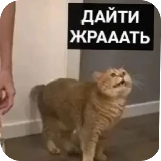 😟 emoji @StickerEdit_bot :: @StickerEdit Telegram sticker 22 of 92