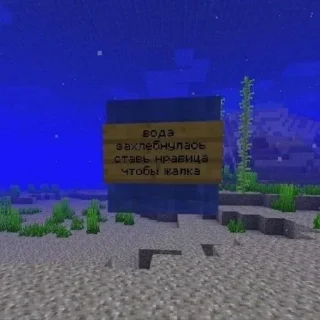 Sticker from random minecraft | BP