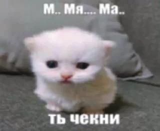 🌟 emoji коты и чучутб нет @poison_glrl Telegram sticker 14 of 50
