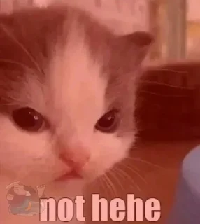 😠 emoji hellokитя Telegram sticker 17 of 27