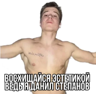 😮 emoji Стикеры "Данил Степанов" Telegram sticker 20 of 29