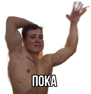 ✋ emoji Стикеры "Данил Степанов" Telegram sticker 3 of 29