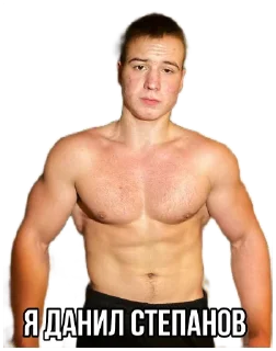 🙂 emoji Стикеры "Данил Степанов" Telegram sticker 12 of 29