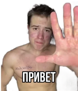 🤚 emoji Стикеры "Данил Степанов" Telegram sticker 1 of 29