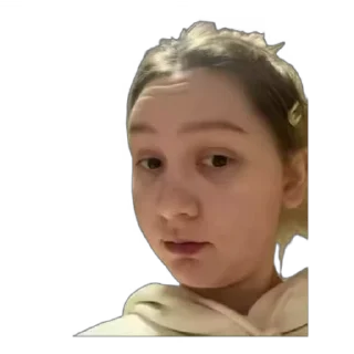 Sticker from Тгк:Шрекичан