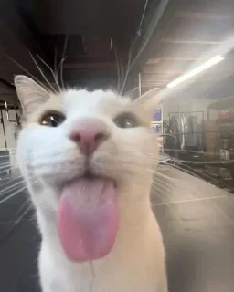 😋 emoji омг что Telegram sticker 15 of 15