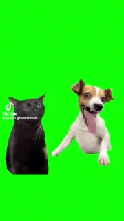 🌟 emoji Мелоди Telegram sticker 6 of 7