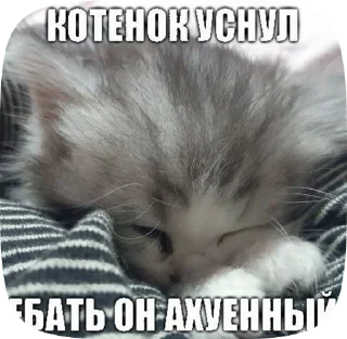 ☺️ emoji Лад Telegram sticker 11 of 35