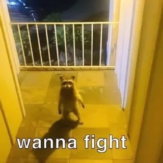 🦝 emoji вика ментос Telegram sticker 15 of 52