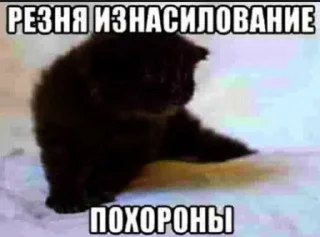 🥰 emoji вика ментос Telegram sticker 16 of 52